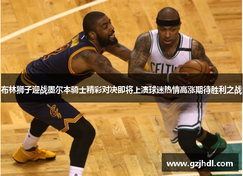 布林狮子迎战墨尔本骑士精彩对决即将上演球迷热情高涨期待胜利之战