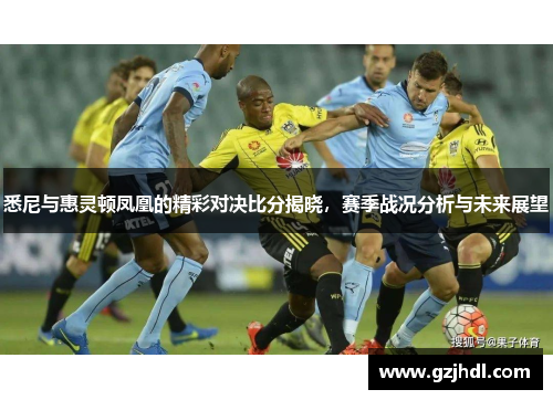 悉尼与惠灵顿凤凰的精彩对决比分揭晓，赛季战况分析与未来展望